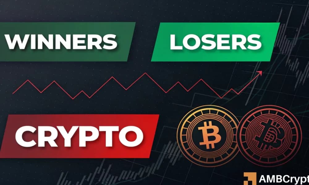 crypto winners and losers
